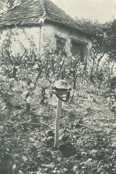Foto: Soldatengrab im Weinberg